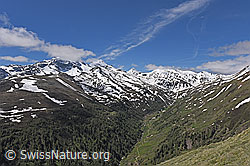 F138653: Blick vom Breithorn über das Saflischtal zu Oberblatthorn und Saflischpass