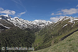 F138661: Blick vom Breithorn über das Saflischtal zu Oberblatthorn und Saflischpass