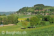 F138713: Belpberg und das Dorf Gerenzsee