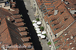 F138778: Blick vom Münster auf die Altstadt von Bern