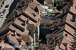 F138784: Blick vom Münster auf die Altstadt von Bern