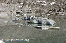 F138969: Eisschollen auf dem Gletschersee am Rhonegletscher