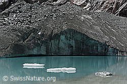 F139510: Kleine Eisschollen in Gletschersee