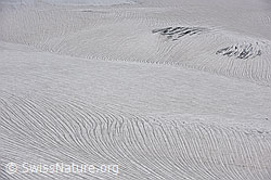 F139756: Strukturen und Formen auf dem Schwarzberggletscher