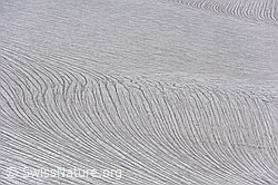 F139758: Strukturen und Formen auf dem Schwarzberggletscher