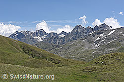 F140034: Saflischpass-Region: Blick zu Scherbadung- und Helsenhorn-Gruppe