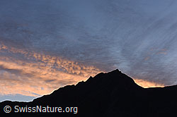 F140740: Glühende Wolken am Morgenhimmel