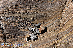 F140833: Steine in einer Mulde im Gletscherschliff