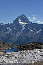 Foto: Bietschhorn, Birchgletscher und Nestgletscher