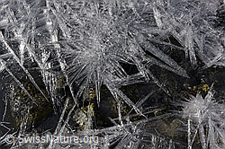 F142464: Glitzernde Eiskristalle und Eissterne