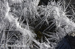 F142471: Eiskristalle