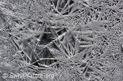 F142475: Sterne aus Eis