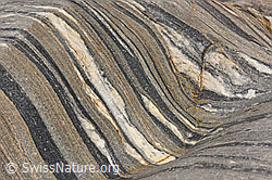 F142589: Strukturen im Gletscherschliff