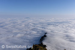 F142904: Blick vom Buochserhorn auf grosses Nebelmeer