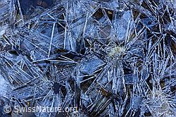 F143929: Interessante Strukturen im Eis