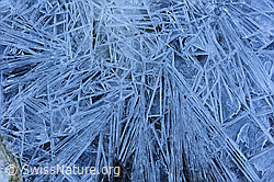 F144097: Längliche Formen in Eisoberfläche