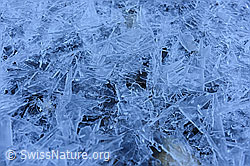 F144099: Nahaufnahme einer strukturierten Eisoberfläche