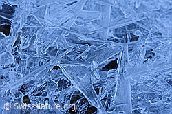 F144109: Nahaufnahme strukturiertes Eis