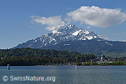 F144176: Pilatus und Luzernersee