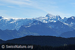 F144177: Titlis vom Schimbrig