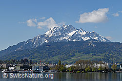 F144178: Pilatus, Luzern und Luzerner Seebecken
