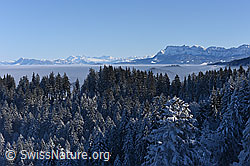 F144187: Winterlandschaft mit Pilatus und Nebelmeer über der Zentralschweiz