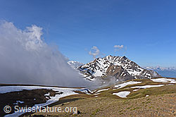 F146093: Wolkenstimmung am Breithorn
