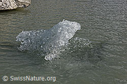 F146545: Schwimmende Eisskulptur