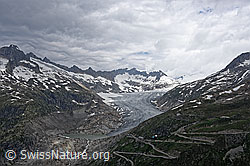 F146593: Berglandschaft mit Rhonegletscher