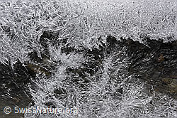 F149601: Eiskristallteppich über fliessendem Wasser