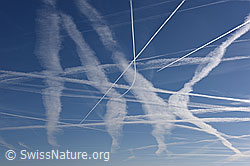 F151736: Kondensationsstreifen am Himmel