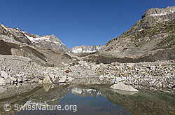 F152910: Unteraargletscher und Escherhorn