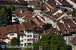 F153656: Blick auf die Dächer der Altstadt von Bern