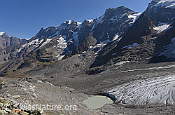 F155075: Breithorngletscher und Nordwände