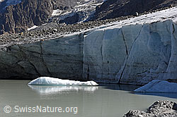 F155097: Gletscherrandsee und Eiswand am Breithorngletscher (Stand 9.2018)