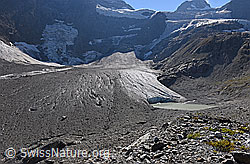 F155111: Randglazialer See am Breithorngletscher (Stand 9.2018)