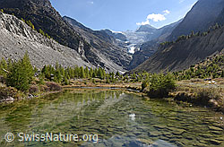F155737: Kleiner See im Vorfeld des Riedgletschers