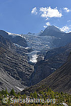 F155742: Zunge des Riedgletschers (Stand 9.2018)