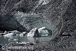 Foto: Eisschollen auf Gletschersee
