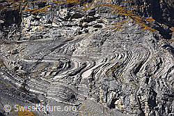 F155884: Schwungvolle Faltung in Felswand