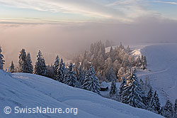F156594: Abendstimmung mit Stall in Winterlandschaft