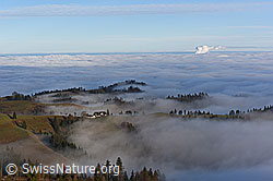 F156639: Feiner Ausläufer eines Nebelmeers über dem Schweizer Mitteland