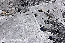 F158662: Gletscherschrammen