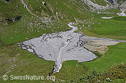 F158689: Geschiebefächer/Schwemmfächer