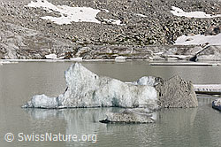 F158851: Eisschollen treiben auf dem proglazialen See vor dem Rhonegletscher