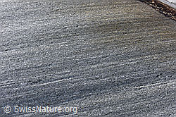 F158886: Rhonegletscher: Gletscherschliff