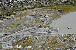 F161035: Mäander in Schwemmebene