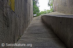 F161474: Hohe Sandsteinwände in Steinbruch