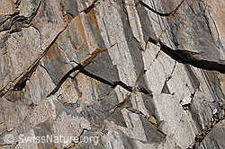 F162085: Brüche in Bünderschiefer