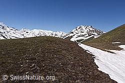 Auf dem Weg zum Breithorn im Lebensraum Nr 6 (21.05.2020, F166012)